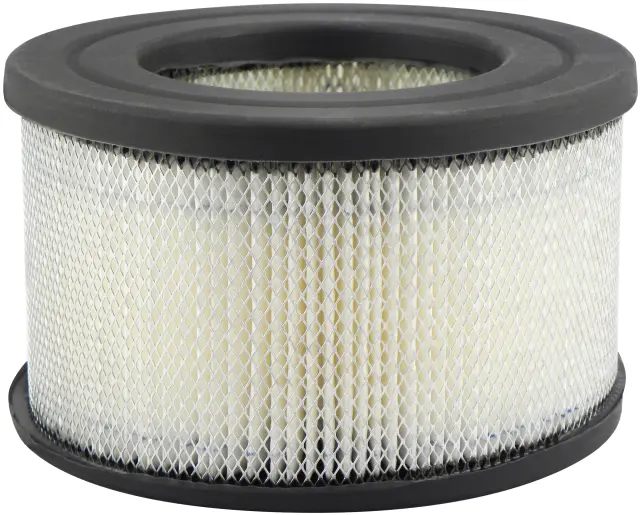 PA4166 - : Air Element for Baldwin Image