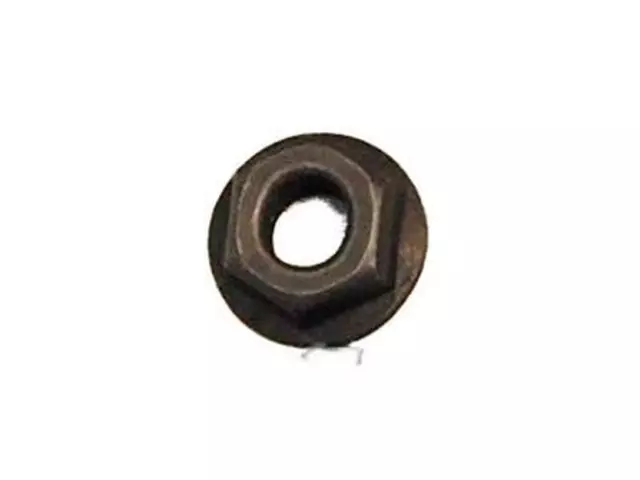 Manifold Nut - Ford (W300051)