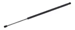 610767 - : Liftgate Lift Support for Tuff Support Image