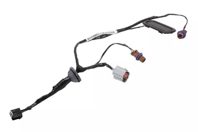 Rear License Plate Lamp Wiring Harness - GM (22894417)