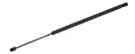 611394 - : Liftgate Lift Support for Tuff Support Image