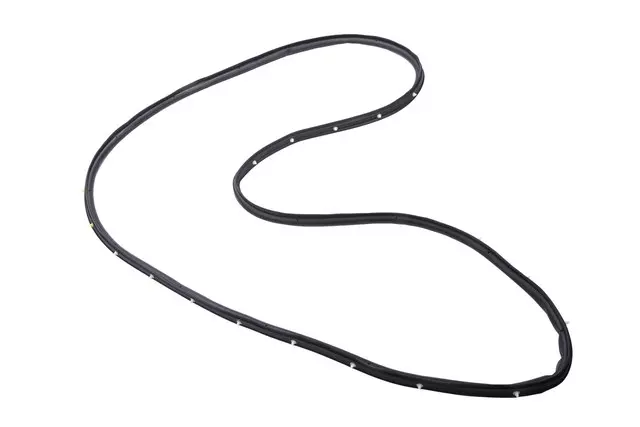 Passenger Side Front Door Weatherstrip - GM (20954941)