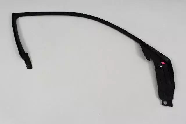 Front Door Molding, Right - Mopar (1TT98DX9AB)