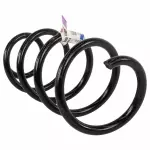 CV6Z5310L - Suspension: Spring for Ford Image