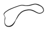 85081020 - Body: Inner Weather-strip for GM Image
