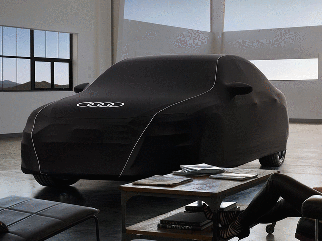 4N4061205 - Exterior: Indoor Car Cover for Audi Image