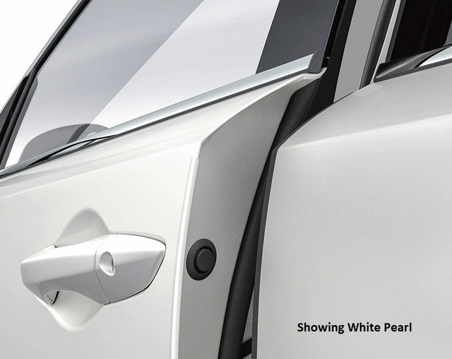 Door Edge Guards  *NH830M*(LUNAR SILVER METALLIC) - Acura (08P20-TYA-210A)