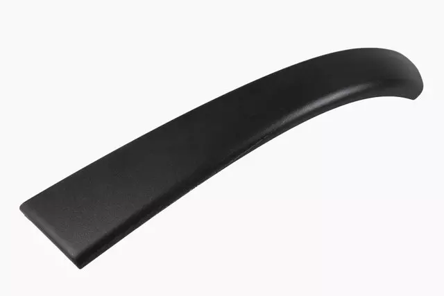 15875810 - Body: Handle Cover for Buick: Enclave Image