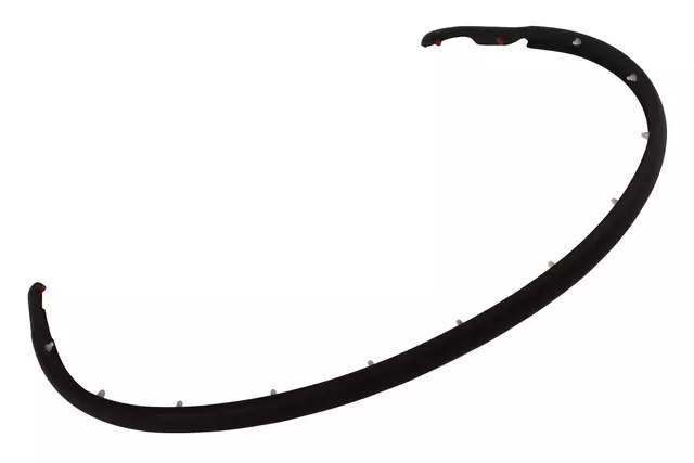 22876028 - : Passenger Side Front Door Lower Auxiliary Weatherstrip for GM Image