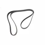 12732419 - : Serpentine Belt for GM Image