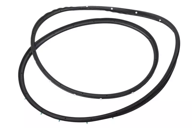 Rear Side Door Weatherstrip - GM (84136388)