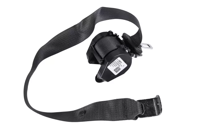 19355560 - Electrical: Outer Belt Assembly for GM Image