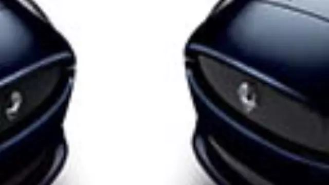 Upper Grille - Jaguar (C2P18324)