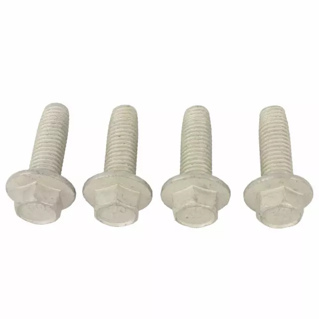 W505275S439 - Electrical: Outer Belt Assembly Screw for Ford: Explorer, Mustang, Police Interceptor Utility | Lincoln: Aviator, Nautilus Image