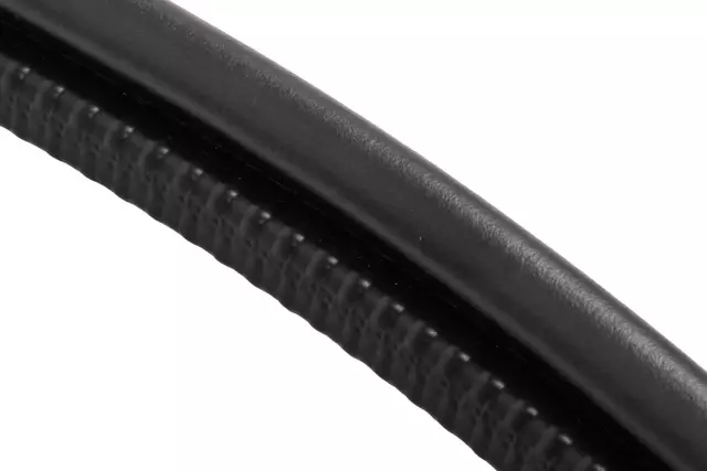 Passenger Side Rear Door Weatherstrip - GM (15298668)