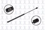 86260 - : Focus Auto Parts Back Glass Lift Support for Focus Auto Parts Image