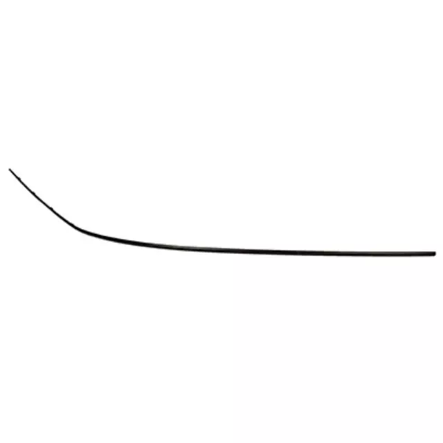 Side Molding - Ford (4L3Z-1603137-AA)