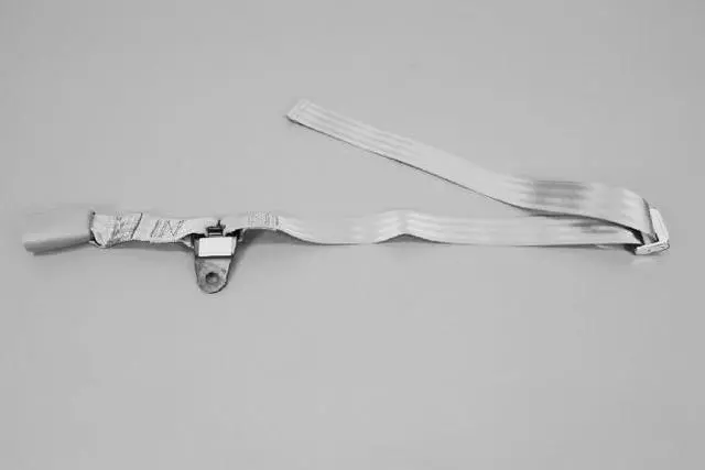 RK991J3AB - Electrical: Buckle End for Chrysler: Town &amp; Country | Dodge: Caravan, Grand Caravan Image