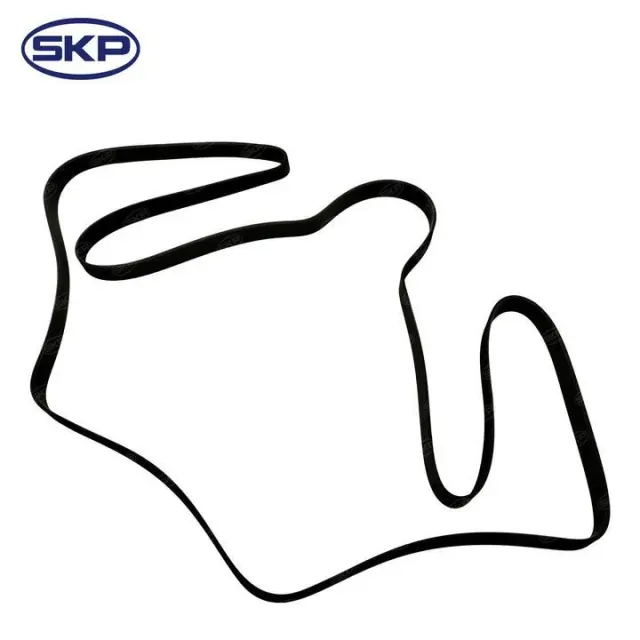 SK081264HD - Engines &amp; Components: SKP Serpentine Belt for Skyward Automotive Image