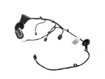 68593425AC - Electrical: Rear Door Wiring for Mopar Image