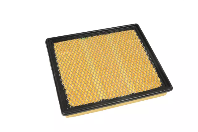 Acdelco™ Air Filter - GM (A3174C)