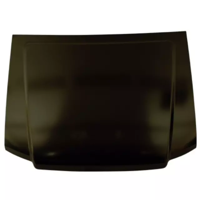 Hood - FORD (1l5z16612aa)