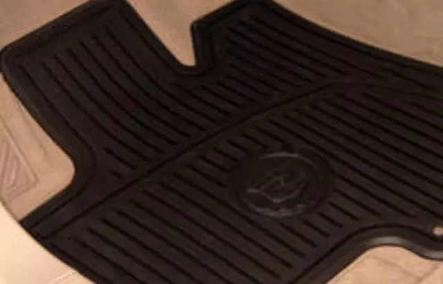Floor Mats, All-Weather, Rear - GM (19172260)