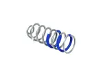 68442575AA - : Rear Coil Spring, Right for Jeep: Gladiator Image