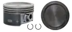 P50141050 - : Engine Piston Set for Enginetech Image