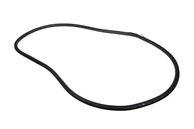 Rear Side Door Weatherstrip - GM (42588070)