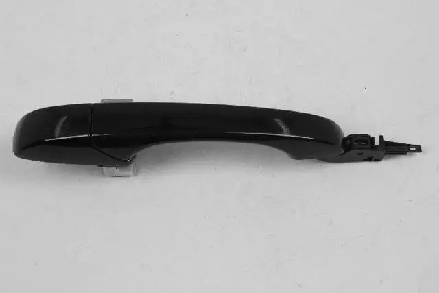 1MW30KGZAE - Doors, Door Mirrors and Related Parts: Exterior Door Handle, Right for Mopar Image