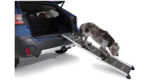 Pet Ramp - Subaru (SOA932P100)