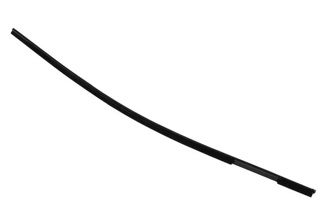 Passenger Side Front Door Window Belt Molding - GM (13402211)