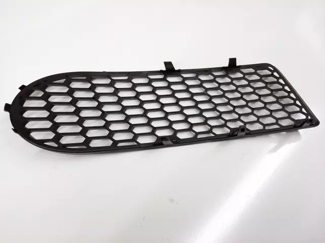 1C0807683H01C - Body: Outer Grille for Volkswagen: Beetle Image