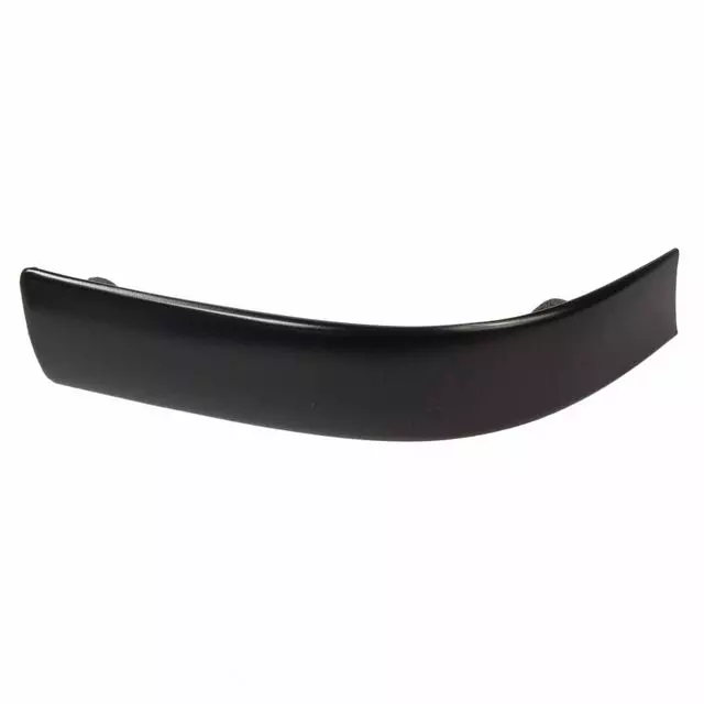 XL5Z1051729APTM - Body: Body Side Molding for Ford: Ranger Image