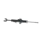 E6C11CD02PNW - Suspension: Value Advantageâ„¢ ABSORBER KIT SHOCK FRONT LH for Nissan Image