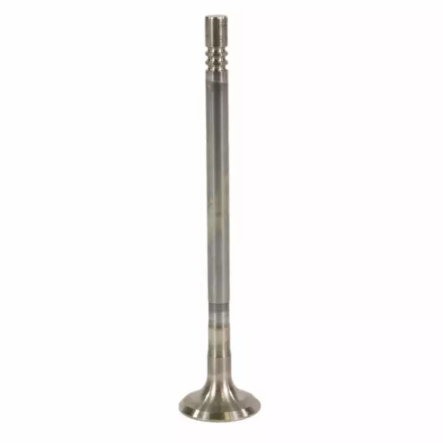 BK2Z6505B - : Engine Exhaust Valve for Ford: Transit-150, Transit-250, Transit-350, Transit-350 HD Image