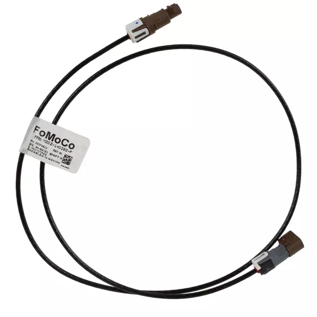 Cable Assembly - Ford (M2DZ-14F662-B)