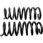 81743 - : Coil Spring Set - Rear for Moog Image