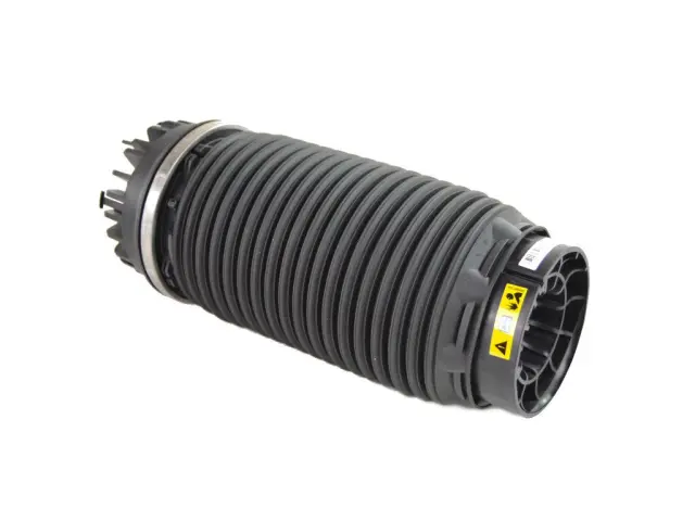 68248948AA - Rear Suspension: Air Suspension Spring Assembly for Mopar Image