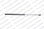 8156833 - : Lesjofors Tailgate Lift Support for Lesjofors Image