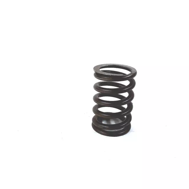 78109623B - Engine: Valve Springs for Audi: A4, A4 Quattro, A6, A6 Quattro, TT, TT Quattro Image