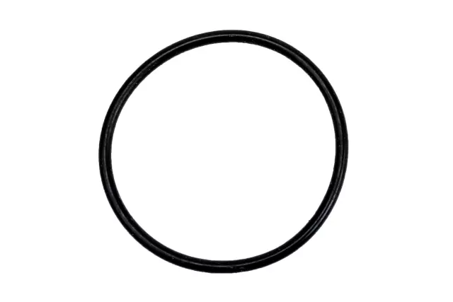 22963318 - : Power Steering Assist Motor Seal for GM Image