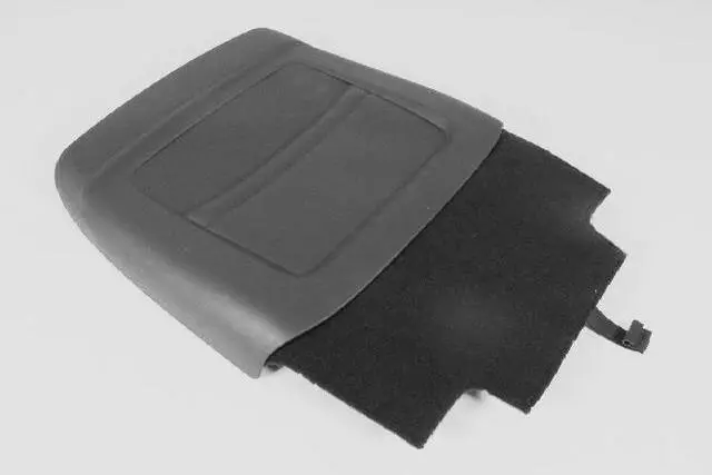 Front Seat Back Panel - Mopar (1UW23DX9AC)