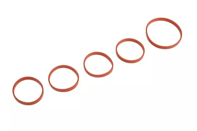 55579126 - : Engine Intake Manifold Gasket Kit for Chevrolet: Cruze, Cruze Limited, Sonic Image