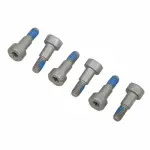 11561138 - : F (S)Bolt for GM Image
