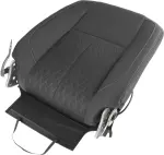 876009FT1D - Body: Seat Back Assembly for Nissan: TITAN, TITAN XD Image