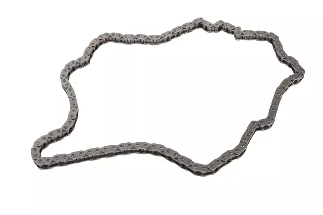 F (S)Chain - GM (55490219)