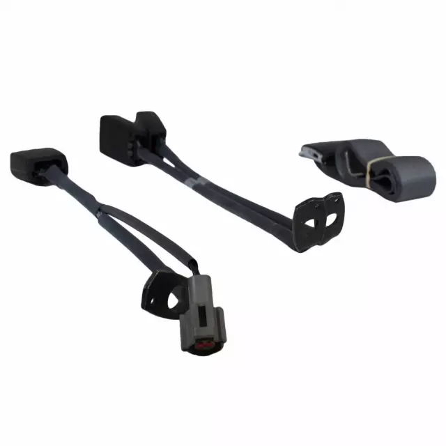 1C3Z25611B60AAD - : Belt And Buckle Assembly for Ford Image