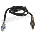 35034436 - : Walker Products 350-34436 Oxygen Sensor 4-W Direct Fit Narrow-Band for Walker Products Inc. - Image